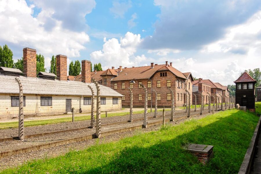 Krakow: Auschwitz Guided Tour with Pickup and Optional Lunch - Guide quality and language choices