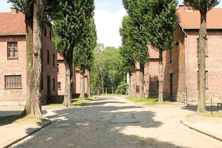 Krakow: Auschwitz & Wieliczka Salt Mine Guided Day Tour - Who should choose this combined tour?