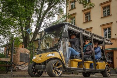 City Sightseeing Tour Eco Electric Buggy Golf Cart