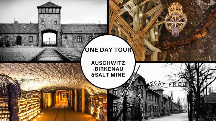 Krakow: Full-Day Auschwitz-Birkenau & Salt Mine Guided Tour - Two major Krakow day trips in one long outing
