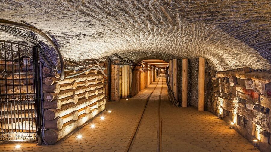 Krakow: Full-Day Auschwitz-Birkenau & Salt Mine Guided Tour - Transport, group size, and the real cost of convenience