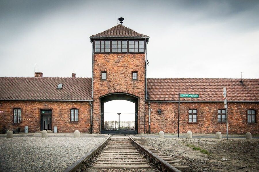 Krakow: Full-Day Auschwitz-Birkenau & Salt Mine Guided Tour - Who should book this combined tour?