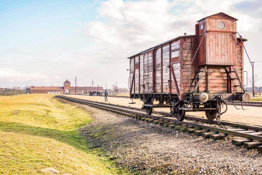 Krakow: Full-Day Auschwitz-Birkenau & Salt Mine Guided Tour - Should you book the Auschwitz and Salt Mine day trip?
