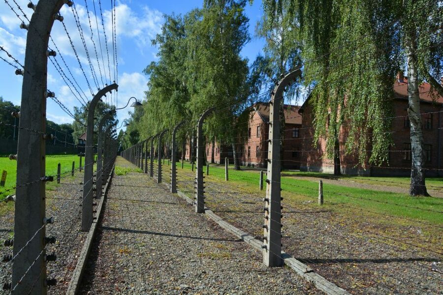 Krakow: Guided Auschwitz Birkenau Tour - The short transfer to Birkenau