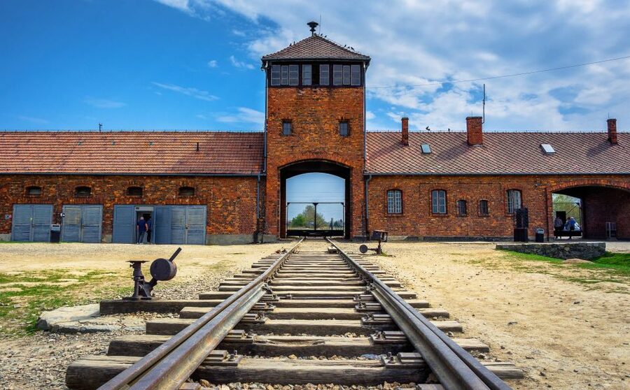 Krakow: Guided Auschwitz Birkenau Tour - How the guided format affects your visit