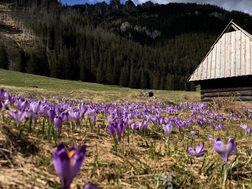 Krakow: Hiking Adventure in Tatra Mountains & Thermal Baths - A mountain hut lunch adds useful rhythm