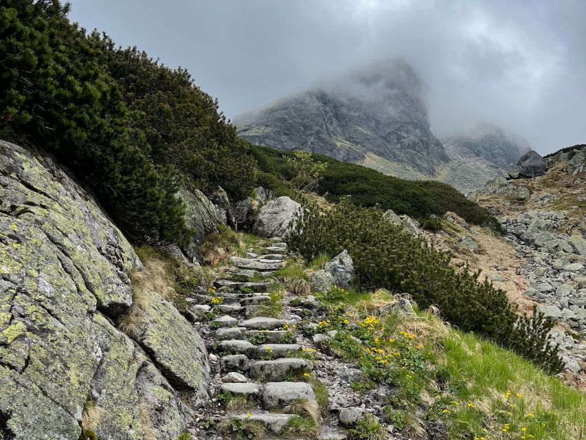 Krakow: Hiking Adventure in Tatra Mountains & Thermal Baths - The afternoon reward at Termy Bukovina