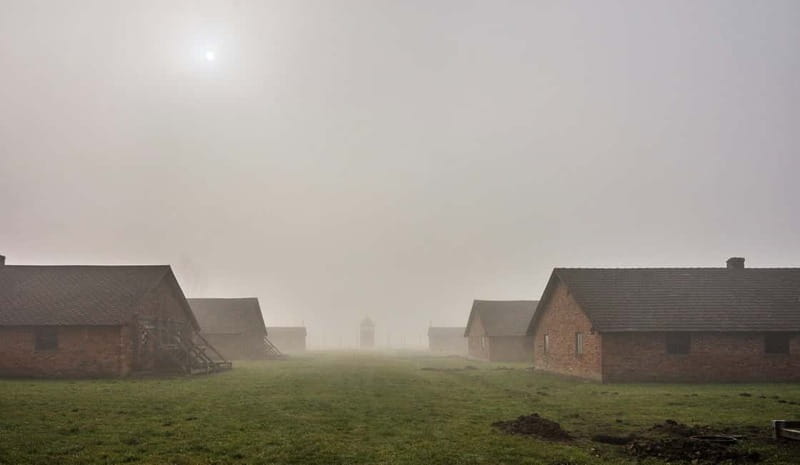 Krakow: Last Minute Auschwitz-Birkenau Guided Tour - What the $80 price really covers