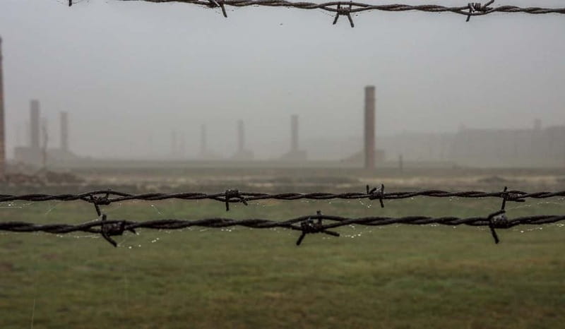 Krakow: Last Minute Auschwitz-Birkenau Guided Tour - Language, guides, and group pace