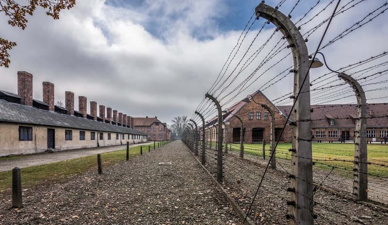 Krakow: Last Minute Auschwitz-Birkenau Guided Tour - Food, bags, and what to bring