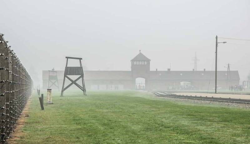 Krakow: Last Minute Auschwitz-Birkenau Guided Tour - Timing, cancellations, and the return to Krakow