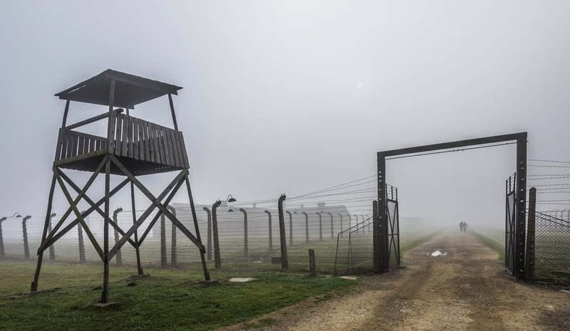 Krakow: Last Minute Auschwitz-Birkenau Guided Tour - Who should choose this Auschwitz tour