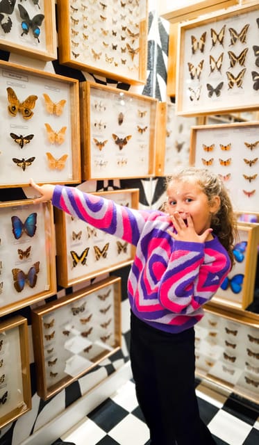 Krakow: Museum of Living Butterflies 2+1 - What you learn about Lepidoptera