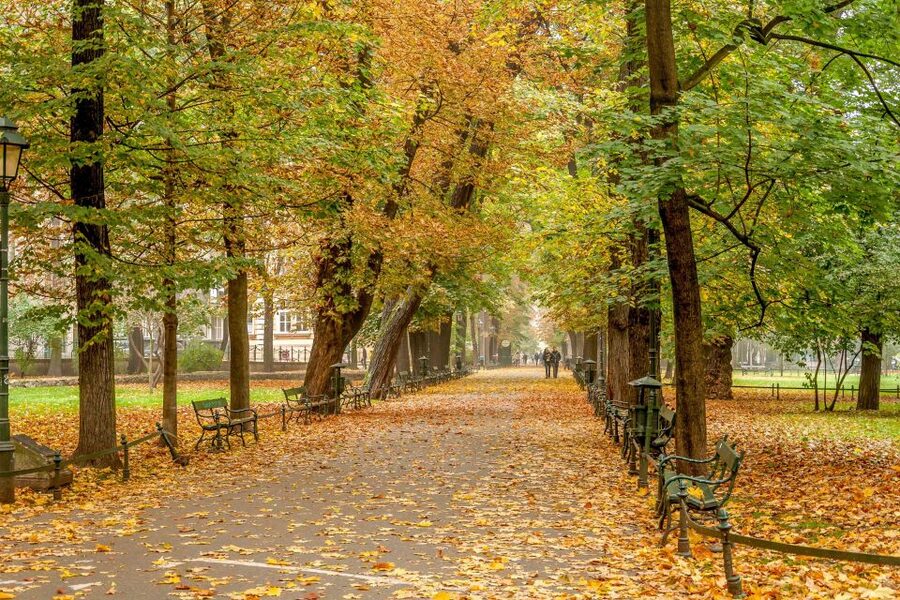 Krakow: Old Town Guided Walking Tour - Who will get the most from this walk
