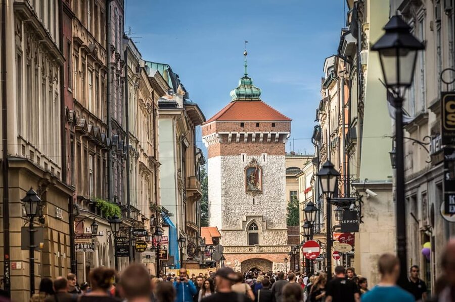 Krakow: Old Town "Royal Route" Walking Tour - Wawel Hill, castle, and cathedral