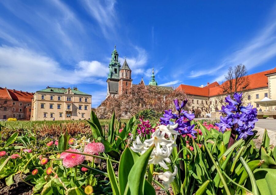 Kraków: Old Town & Wawel Castle Walking Tour in English - Wawel Cathedral and the royal story