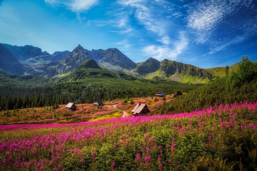 Krakow: Tatra Mountains and Zakopane Full-Day Private Tour - Why Zakopane makes a strong day trip from Krakow