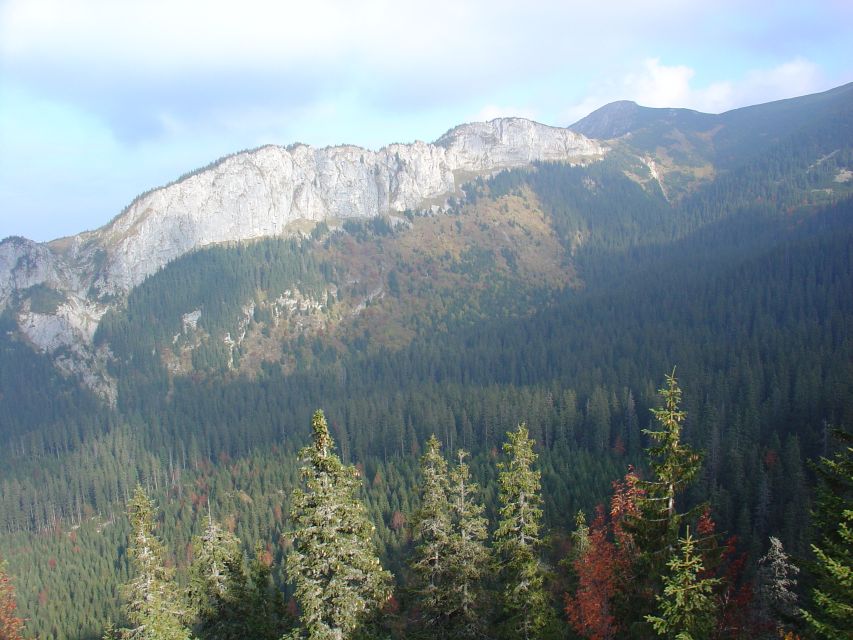 Krakow: Tatra Mountains and Zakopane Full-Day Private Tour - What the private format changes