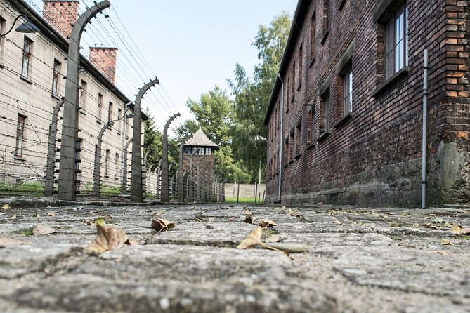 Krakow to Auschwitz Birkenau Guided Tour with Ticket and Transfer - Auschwitz I: two hours inside the main camp