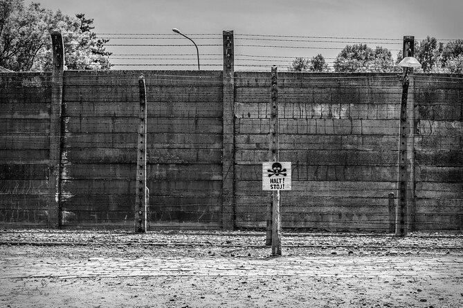 Krakow to Auschwitz-Birkenau Live Guided Tour & Hotel Pick-up - Why this seven-hour day matters