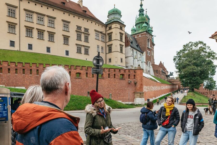 Krakow: Wawel Royal Hill with Optional Castle and Cathedral - Who will get the most from this tour