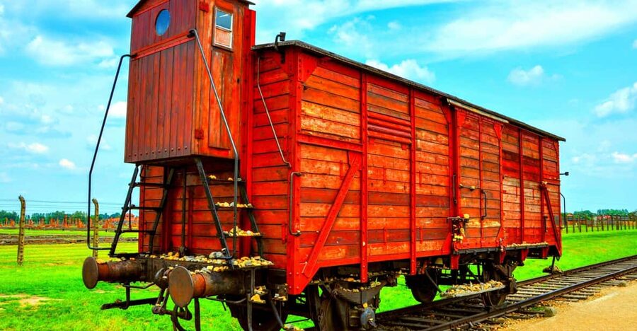 Krakow: Wieliczka Salt Mine and Auschwitz-Birkenau Tour - One long day from Krakow