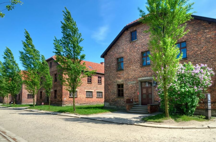 Krakow: Wieliczka Salt Mine and Auschwitz-Birkenau Tour - What the Auschwitz guide adds