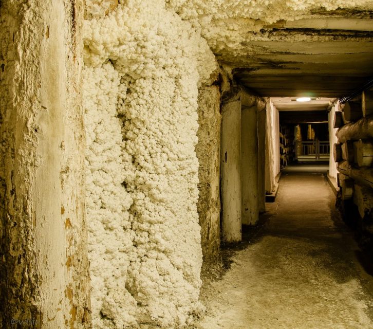 Krakow: Wieliczka Salt Mine Skip-the-Line Live Guided Tour - Should you book this Wieliczka tour?