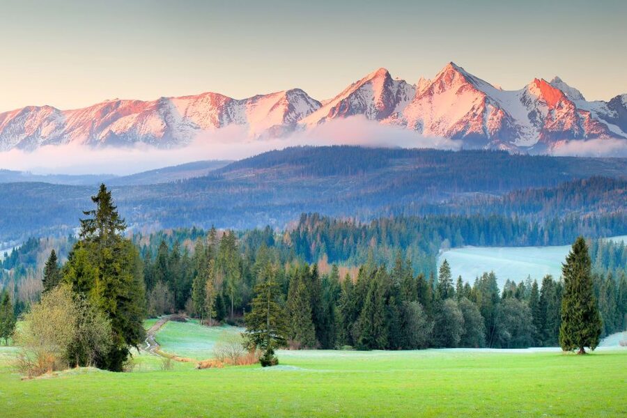 Krakow: Zakopane Day Tour with Optional Thermal Baths - Zakopane, Krupówki Street, and free time