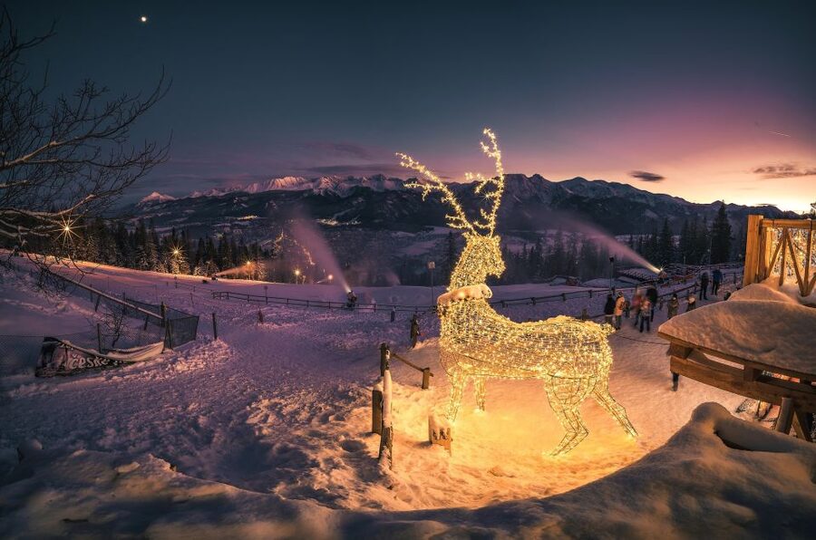 Krakow: Zakopane Tatra Mountains, Cable Car, Local Tasting - Should you book the Zakopane day trip?