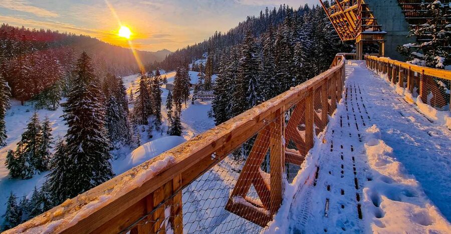 Krakow: Zakopane, Thermal Baths and Gorce Park Treetop Walk - Why this Krakow day trip works