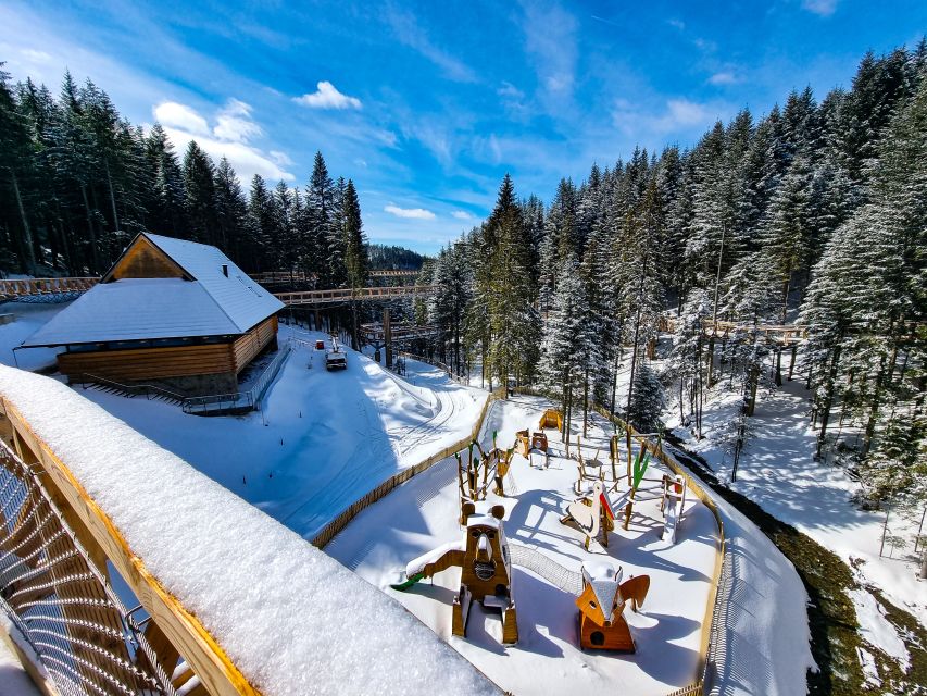 Krakow: Zakopane, Thermal Baths and Gorce Park Treetop Walk - Who should book this experience