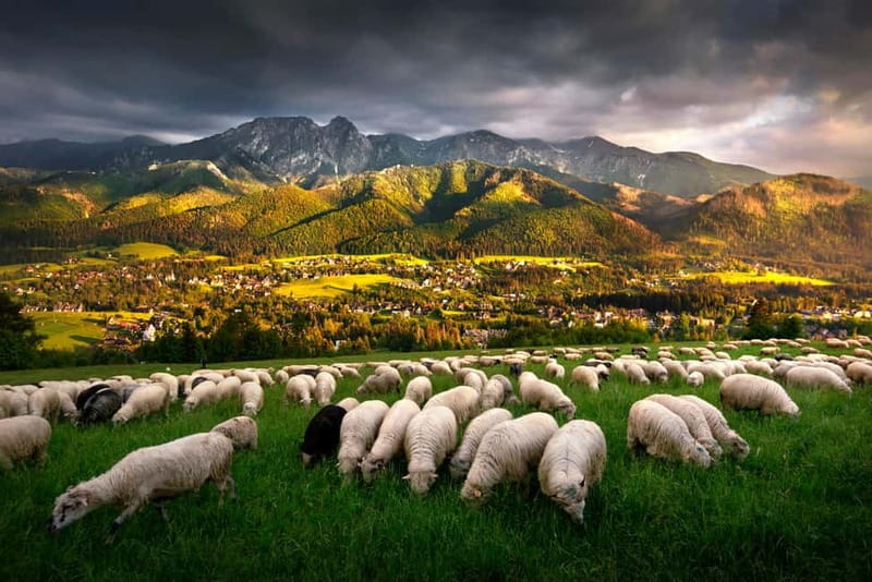 Krakow: Zakopane Trip with Thermal Pools & Hotel Pick-up - Why this Krakow day trip works