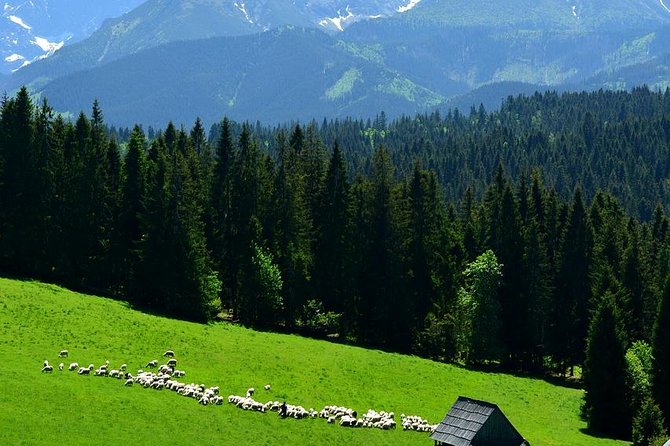 Krakow: Zakopane with Thermal Baths, Cable Car & Hotel Pickup - The return to Krakow
