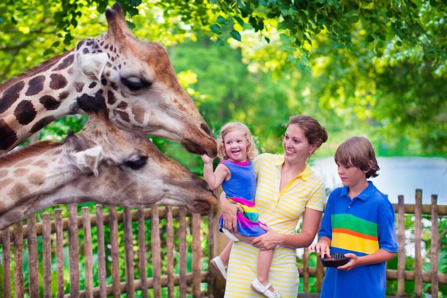 Krakow: Zoo Tour with Private Transport and Tickets - Why Krakow Zoo makes a good city break outing