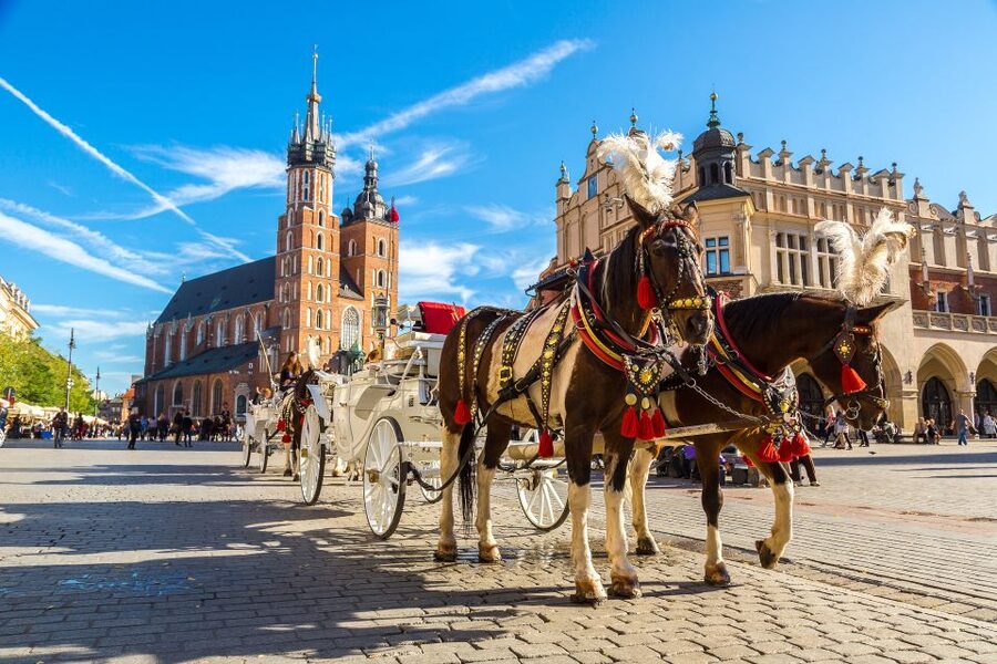 Krakow: Zoo Tour with Private Transport and Tickets - How to use your three hours well