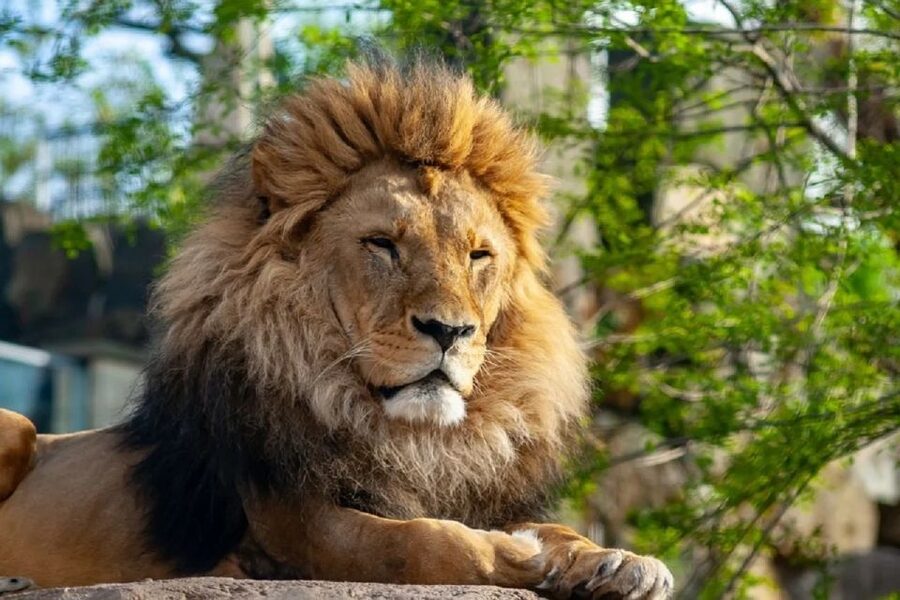 Krakow: Zoo Tour with Private Transport and Tickets - Is $94 per person good value?