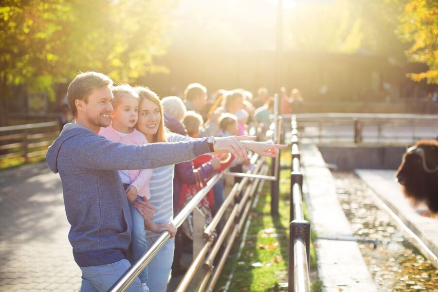 Krakow: Zoo Tour with Private Transport and Tickets - Practical preparation before you go
