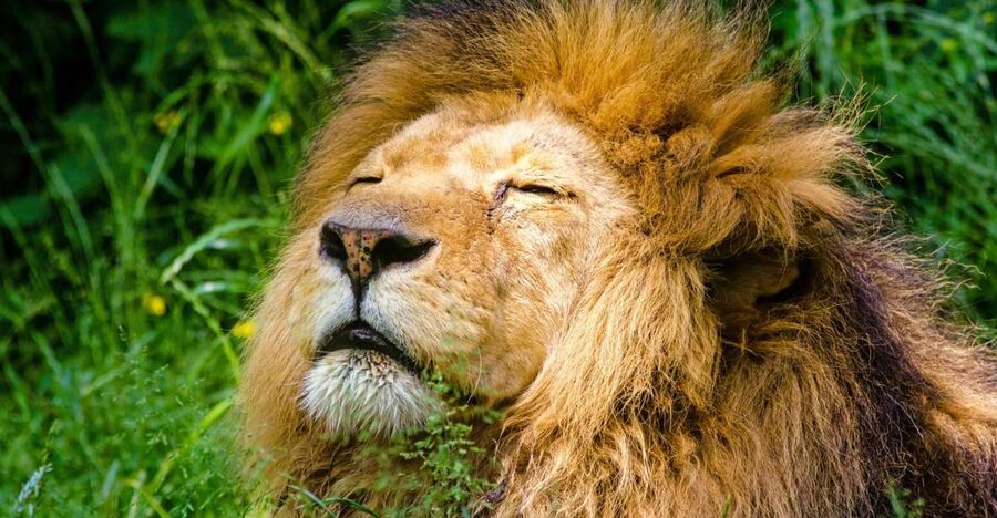 Krakow: Zoo with Hotel Pickup - Key points to know before booking