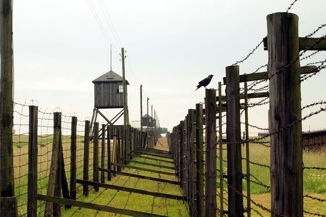 Lublin and Majdanek Small Group Tour from Warsaw with Lunch - Is the $352.41 price fair?