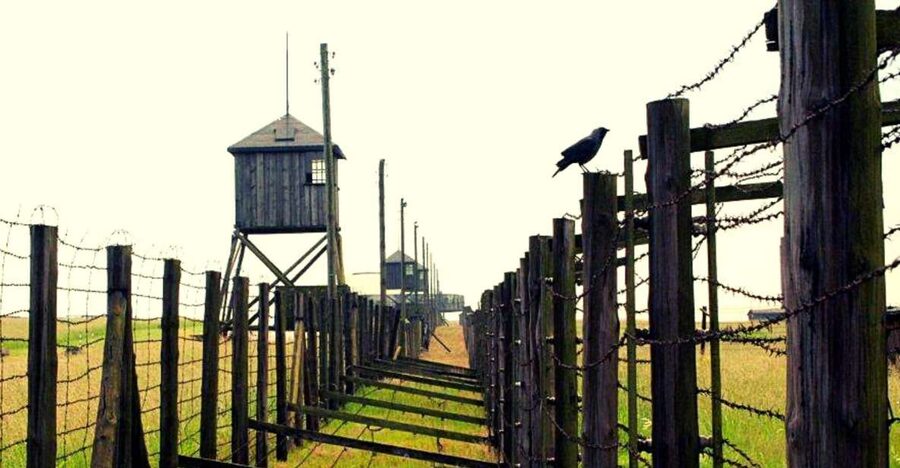 Lublin & Majdanek Small-Group Tour from Warsaw with Lunch - Walking through Majdanek State Museum