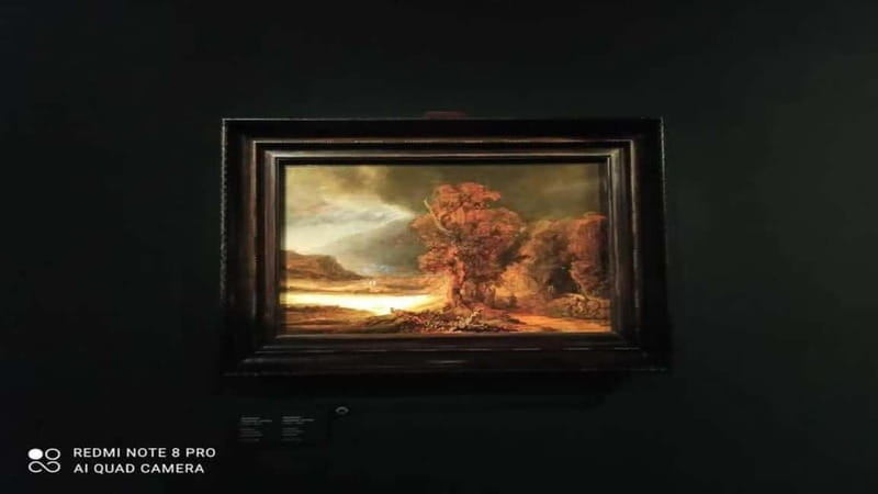 Museo Czartorisky : Visita in Lingua Italiana salta fila… - Meeting near the ermine image
