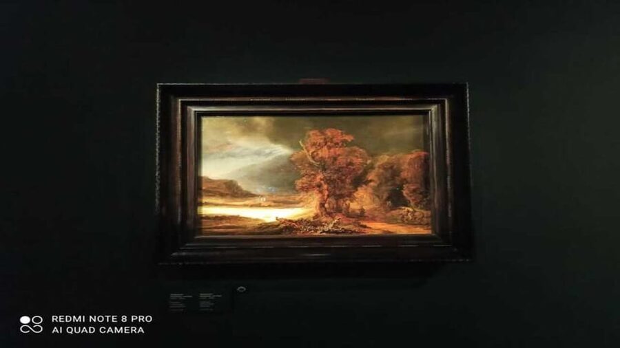 Museo Czartoryski: Visita in italiano e salta la fila - Why priority entry matters in Krakow