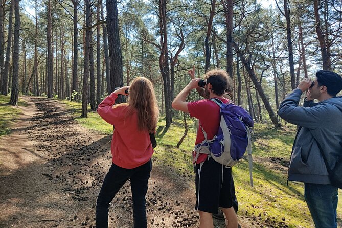 Nature Walk and Wildlife Tour in Sobieszewo Island - Key points at a glance