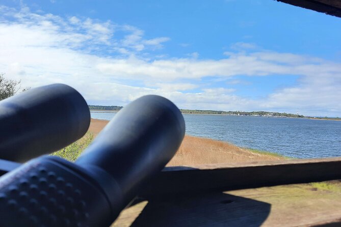 Nature Walk and Wildlife Tour in Sobieszewo Island - Walking to Plaża 19