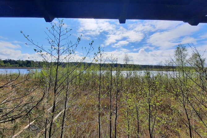 Nature Walk and Wildlife Tour in Sobieszewo Island - Price, group size, and practical value
