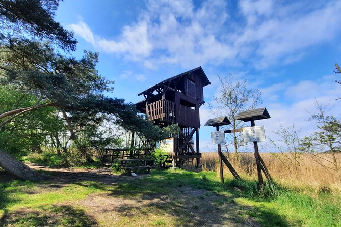 Nature Walk and Wildlife Tour in Sobieszewo Island - A picnic break at Znak Ptasi Raj
