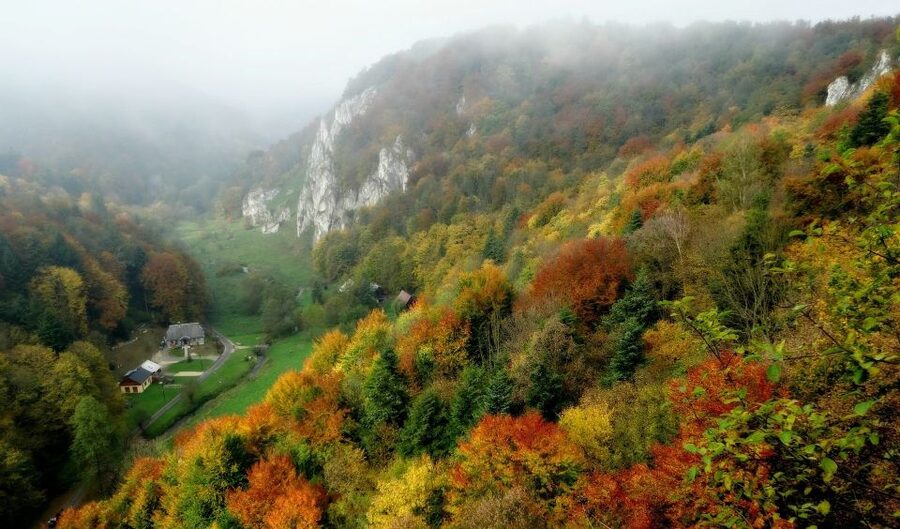 Ojcow National Park: Full-Day Trip from Krakow - Final verdict: a strong nature and castle day from Krakow