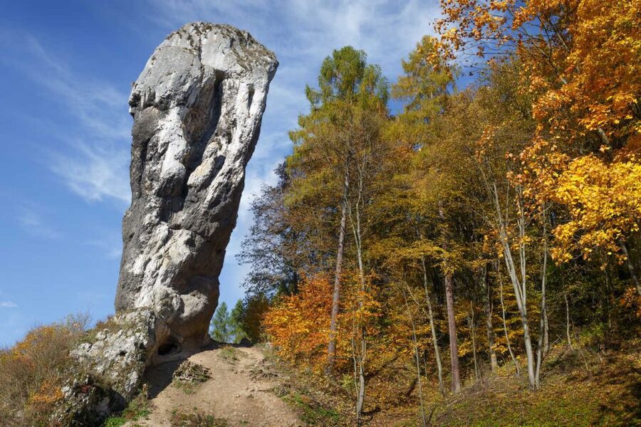 Ojcow National Park: Full-Day Trip from Krakow - Gothic ruins and the park’s historic center