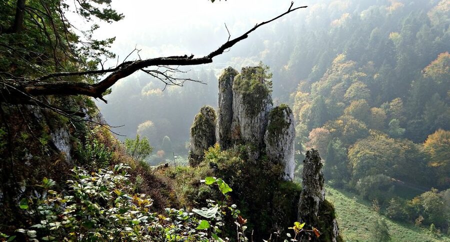 Ojcow National Park: Full-Day Trip from Krakow - Pieskowa Skala Castle and Hercules’ Club